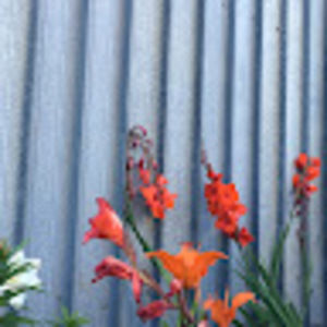 Meet your Posher, Catherine